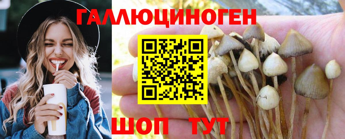 Фролово  Псилоцибиновые грибы MAGIC MUSHROOMS  Вход с VPN 